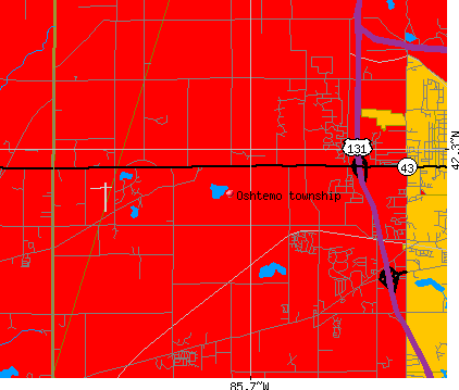 Oshtemo township, MI map