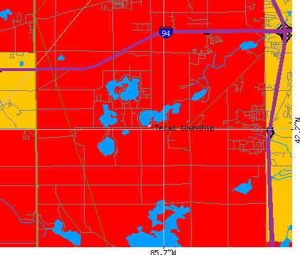 Texas township, MI map