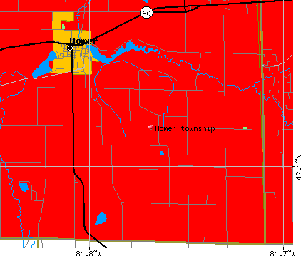 Homer township, MI map
