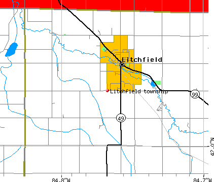 Litchfield township, MI map