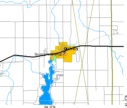 Quincy township, MI map