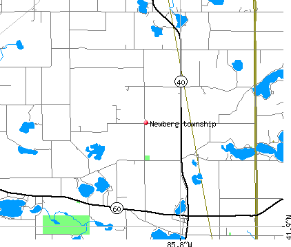 Newberg township, MI map