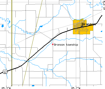 Bronson township, MI map