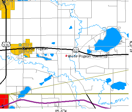 White Pigeon township, MI map