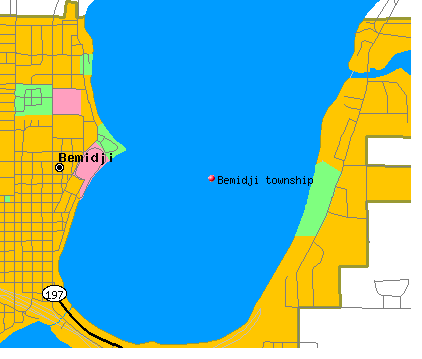 Bemidji township, MN map