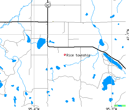 Rice township, MN map