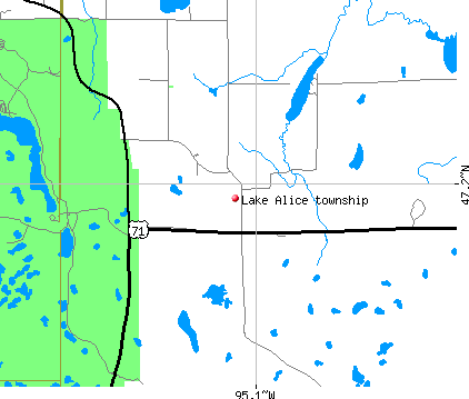 Lake Alice township, MN map