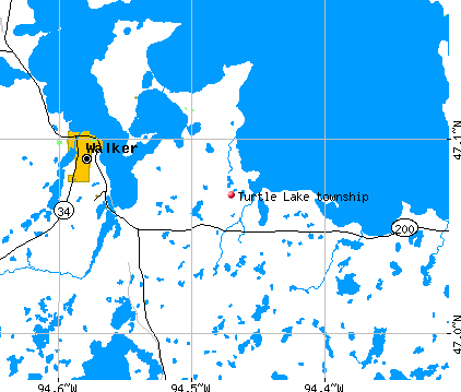 Turtle Lake township, MN map