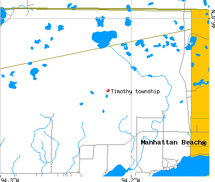 Timothy township, MN map