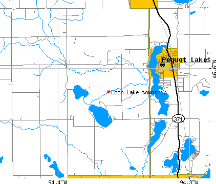 Loon Lake township, MN map