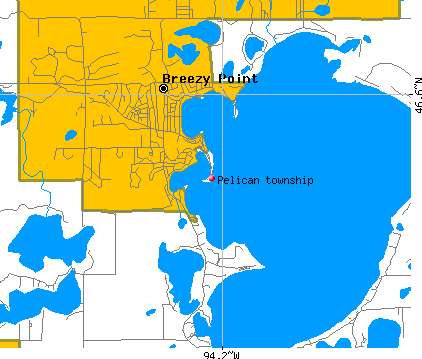Pelican township, MN map