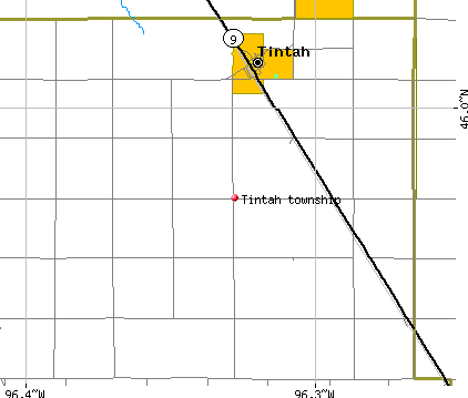 Tintah township, MN map