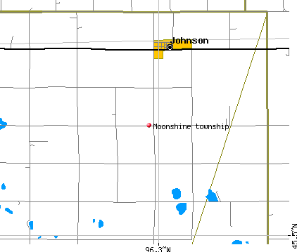 Moonshine township, MN map