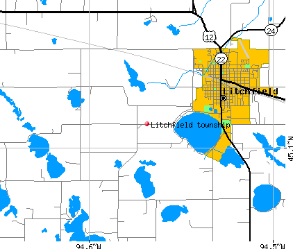 Litchfield township, MN map