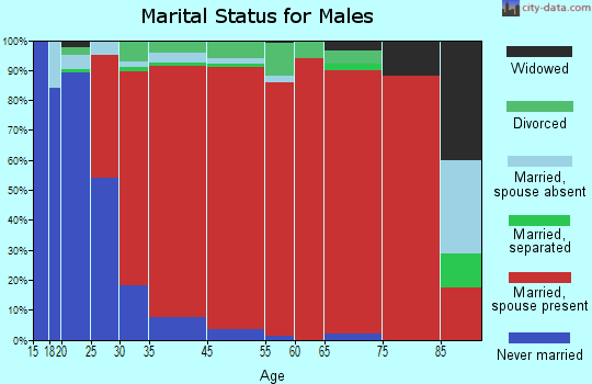 Anza-Borrego Springs marital status for males