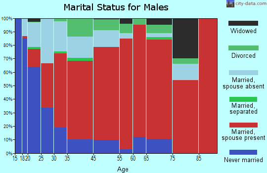 Berryessa marital status for males