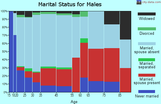 Big Valley marital status for males