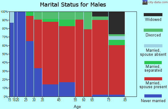 Hillsdale marital status for males