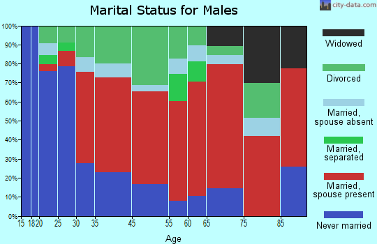 Hyde Park marital status for males