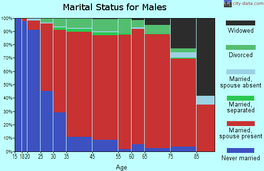 Lake Luzerne marital status for males