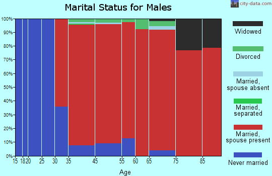 Lincklaen marital status for males