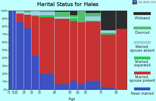 Lincoln marital status for males