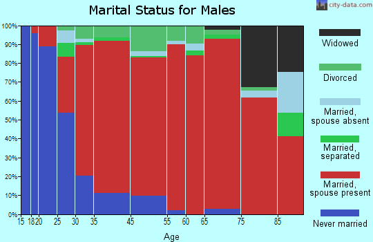 Madrid marital status for males