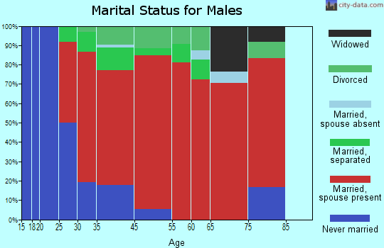 Manhattan marital status for males