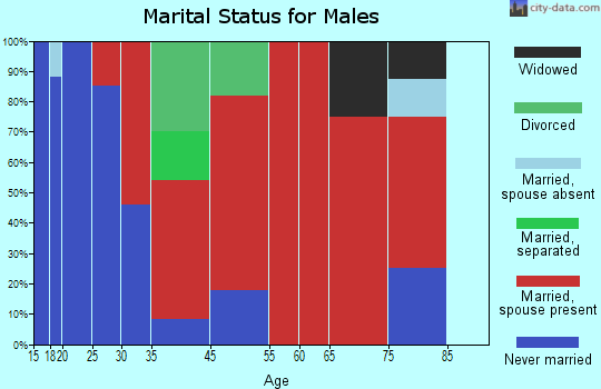 Martinsburg marital status for males