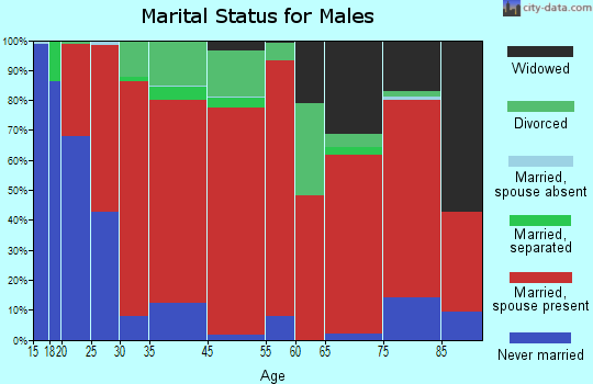 Mendon marital status for males