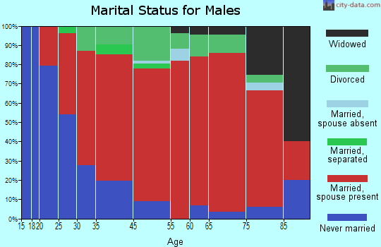 Meredith marital status for males
