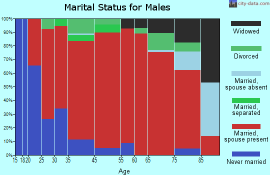 Minden marital status for males
