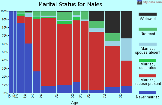 Minisink marital status for males