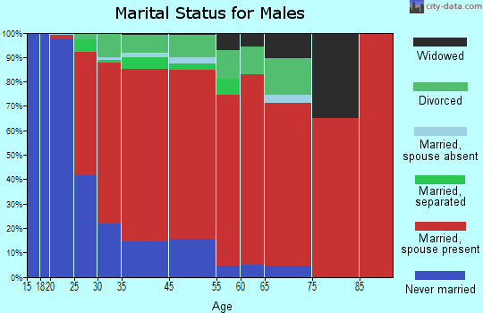 New Bremen marital status for males