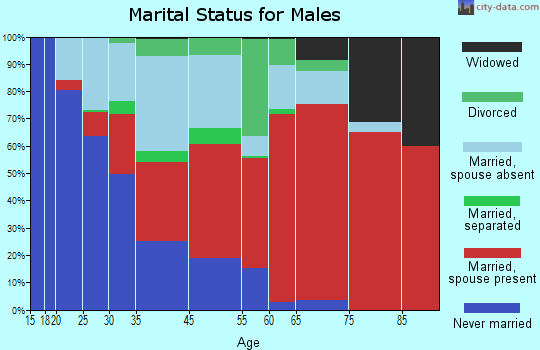 New Hudson marital status for males