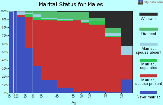 New Lebanon marital status for males