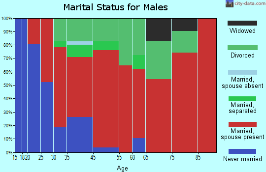 North Dansville marital status for males