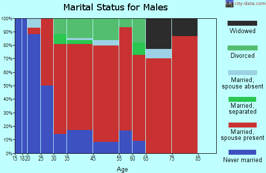 North Hempstead marital status for males