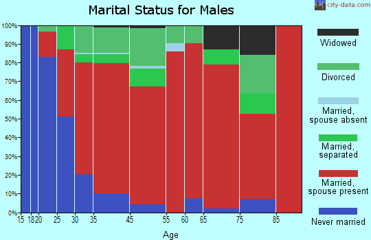 North Salem marital status for males