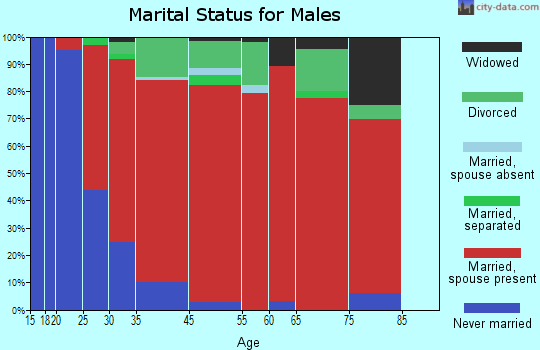 Rodman marital status for males