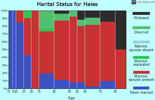 Roxbury marital status for males