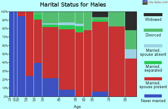 Saranac marital status for males