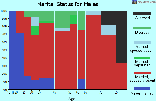 Schodack marital status for males