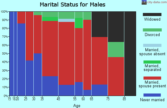 Shawangunk marital status for males