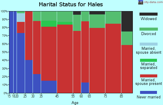 Sheldon marital status for males