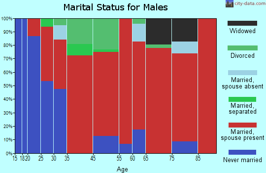 Solon marital status for males