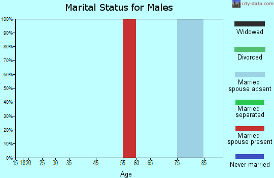 Staten Island marital status for males