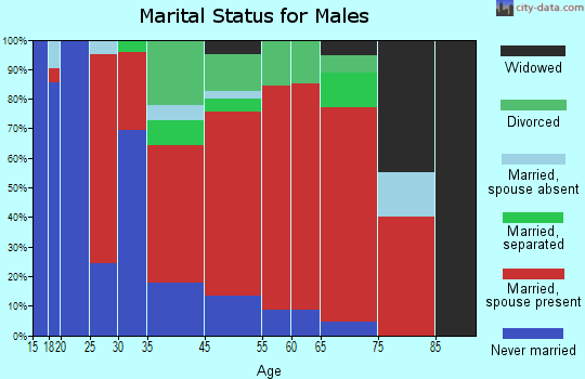 Stuyvesant marital status for males