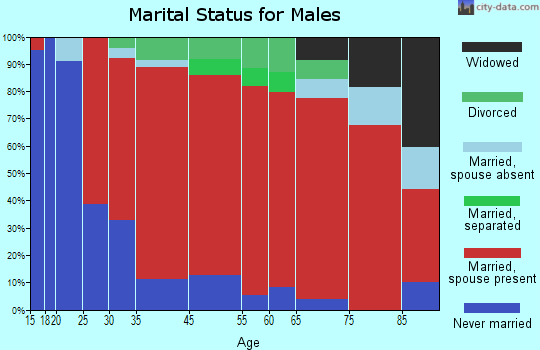 Union Vale marital status for males
