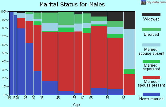 Van Buren marital status for males